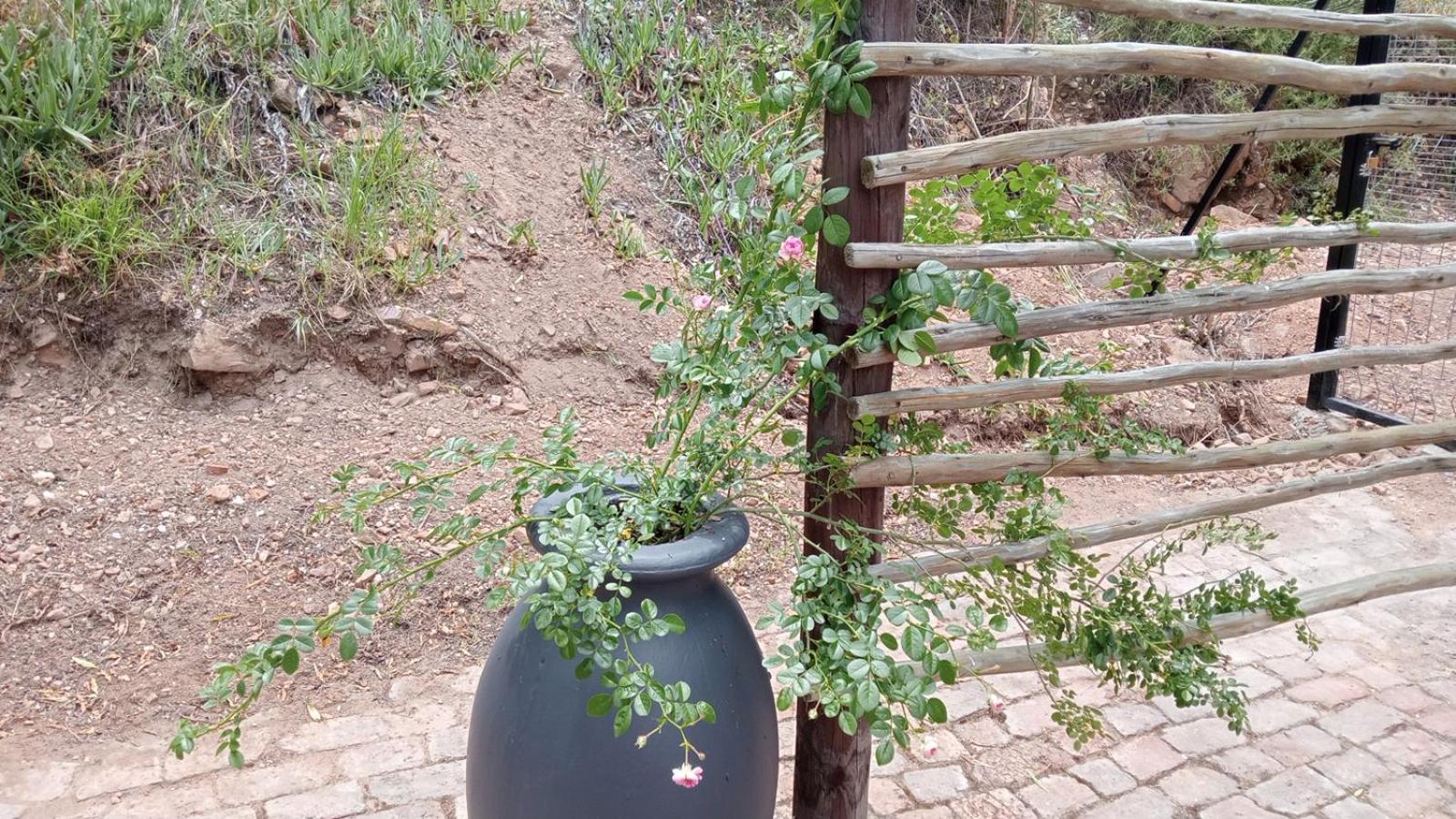 Kranskloof Country Lodge Oudtshoorn Exterior foto