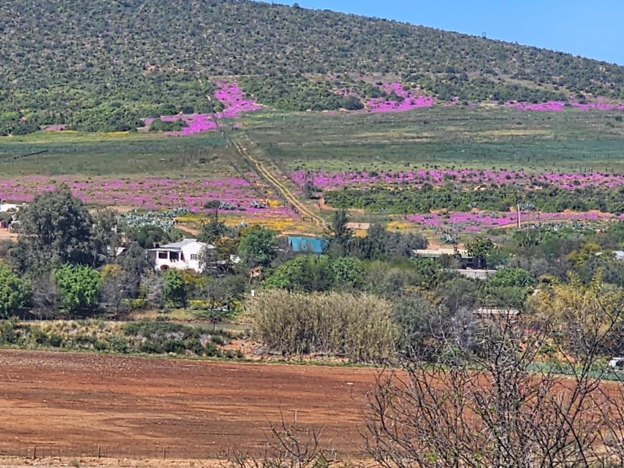 Kranskloof Country Lodge Oudtshoorn Exterior foto